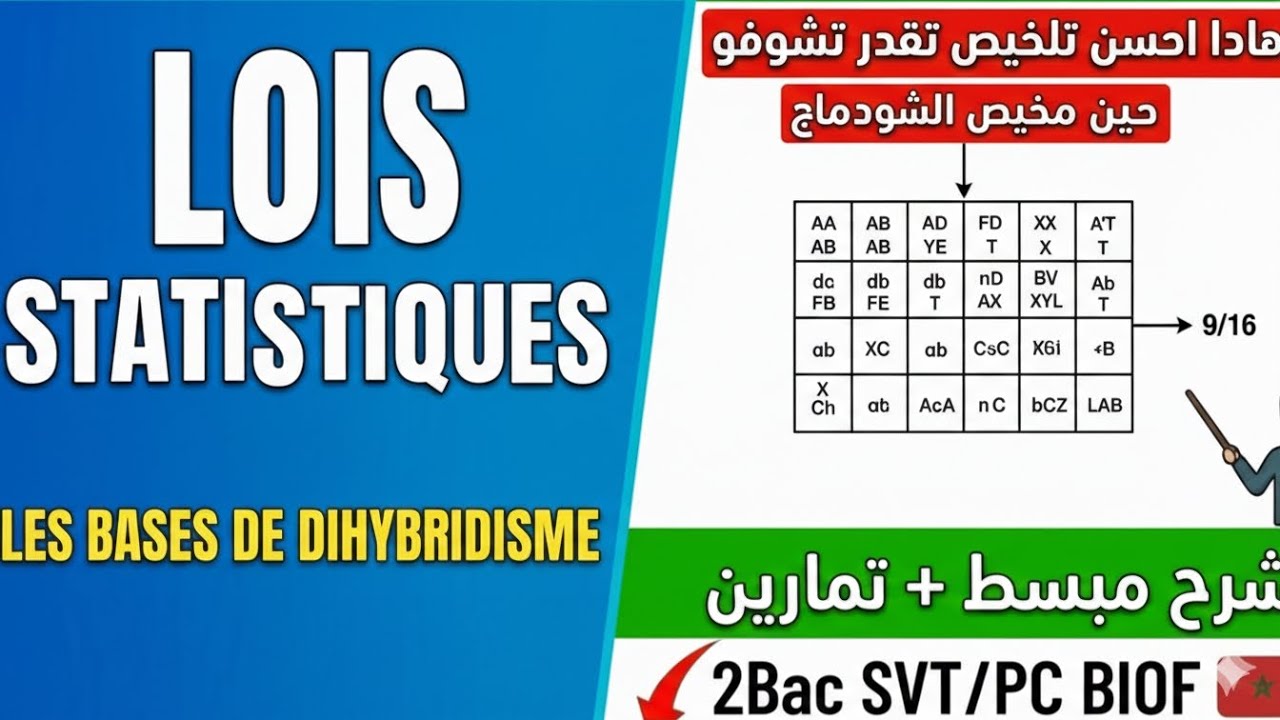 أساسيات الـ Dihybridisme: هاد الفيديو غيهنيك من التلف في القوانين الإحصائية 🎯