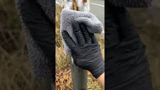 Transforming a Rusty Road Sign Pole to Like-New ✨ #RoadSignRestoration #RustRemoval #OutdoorFix