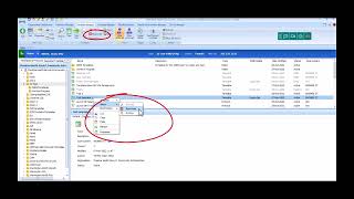 EMIS Web Clinical Templates 18   Statuses