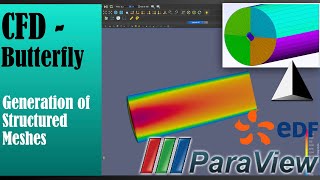 [06] CFD Tutorial - Butterfly Mesh