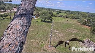 SWFL Eagles ~ M15 Brings In A WHOPPER Fish 🐟 & SURPRISES E20! 5.14.22