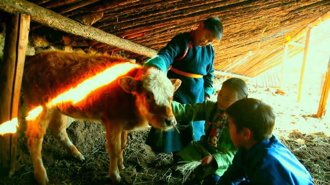 tamiriin busgui MUGJ Ganzorig