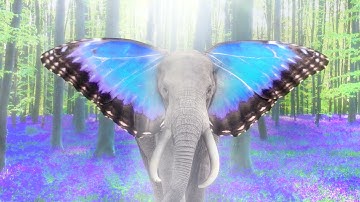 Tom Morello - The Maze (ft. Andrew McMahon in the Wilderness) [Official Audio]