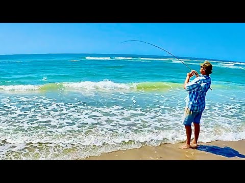 RED DRUM OR