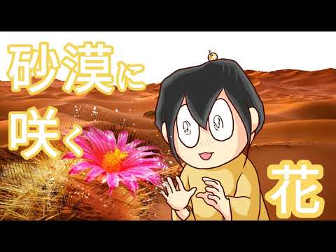 他人 やけど 夢 他人 やけど 夢