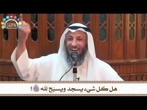 23 - هل كل شيء يسجد ويسبّح لله سبحانه وتعالى؟ - عثمان الخميس