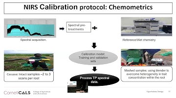 Ugochukwu Ikeogu: High-throughput phenotyping ... for quality traits in Cassava