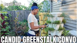 How I Grow in and Care for 17 Greenstalks | I Do NOT Water Everyday | A Candid Greenstalk Convo