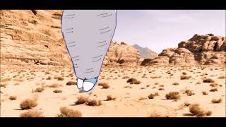 Leah 17 Is Absorbed By Cell Long