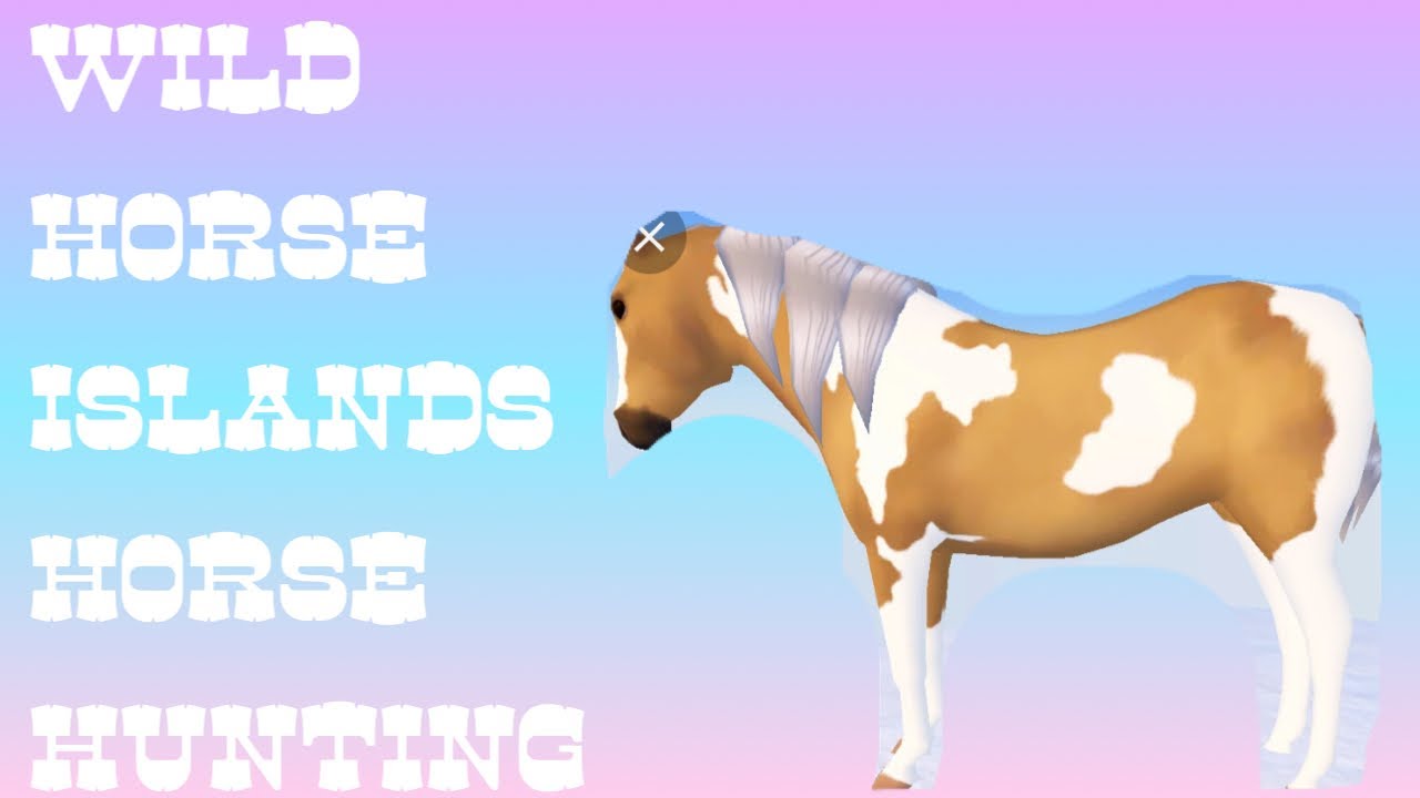 🐝はち🐝  🔴 on X: Playing Wild horse islands on roblox