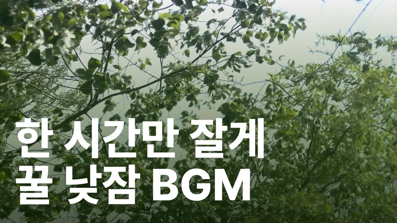 Guarda playlist - 한 여름 나무그늘 아래 _ 한 시간 꿀 낮잠의 마법 / Sleep BGM / 1hr_Timer su YouTube