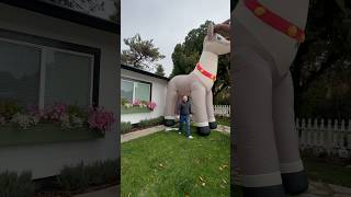 My new 20’ reindeer from At Home! Worth every penny! I feel like it needs a friend. 🦌🎄
