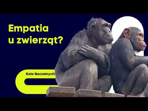 Altruizm u zwierząt. Empatia, instynkt czy strategia przetrwania?