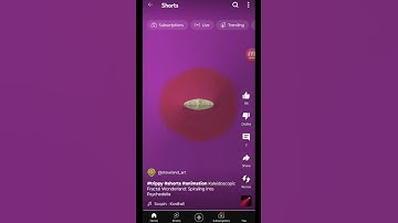 #trippy #shorts #animation Kaleidoscope Fractal Wonderland: Spiraling into Psychedelia.