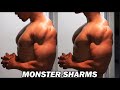 How i grew big arms and shoulders at home