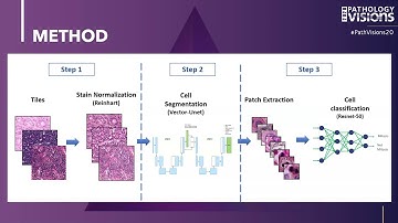 Convolutional Neural Network based Mitosis Detection