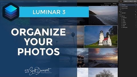 Luminar 3 - Organize Your Photos