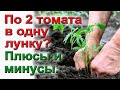 Посадка по 2 томата в одну лунку Плюсы и минусы