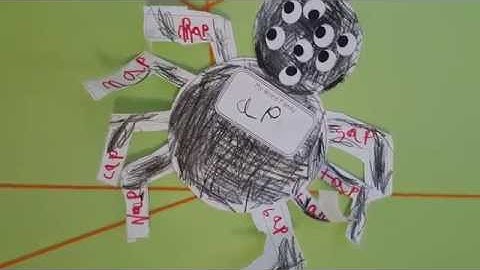 Sunshine STEM Academy Kindergartens