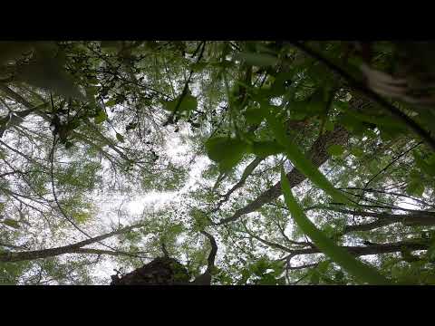 Unseen Footage: Rosie Rider Full Video