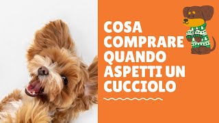 Cose che devi comprare ASSOLUTAMENTE quando arriva un CUCCIOLO DI CANE! by Fashion Dog Italia 2,549 views 3 years ago 2 minutes, 49 seconds