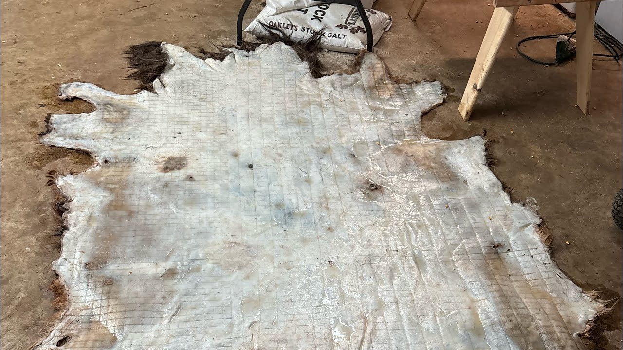 How to tan a cowhide: Part 5(degrease/rinsing/tanning) - YouTube