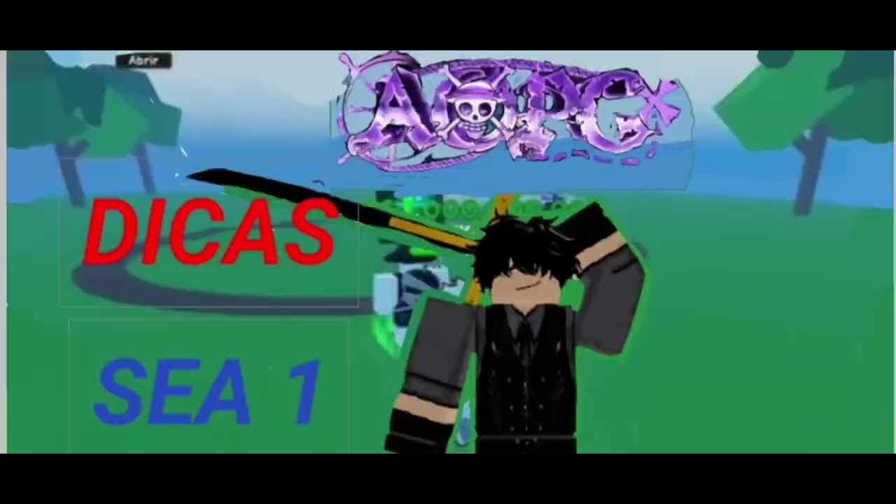(AOPG)Dicas 1 sea no a one piece game