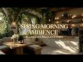 Calm spring morning &amp; relaxing morning music spring - peaceful morning ambience for study