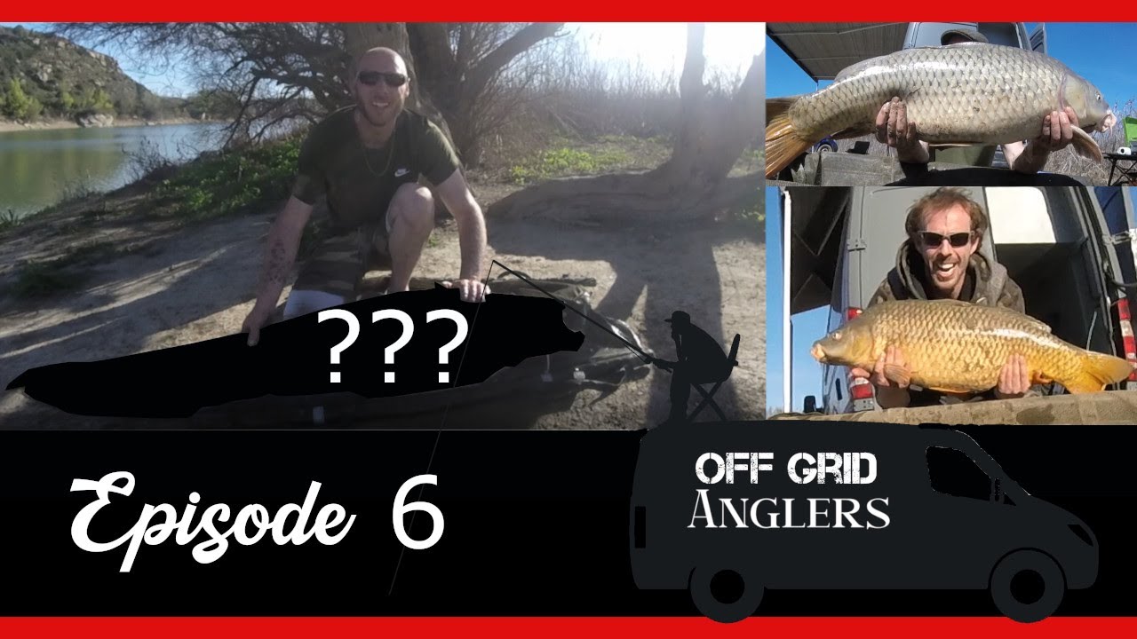 Carp fishing SPAIN. Another RIVER MONSTER caught!