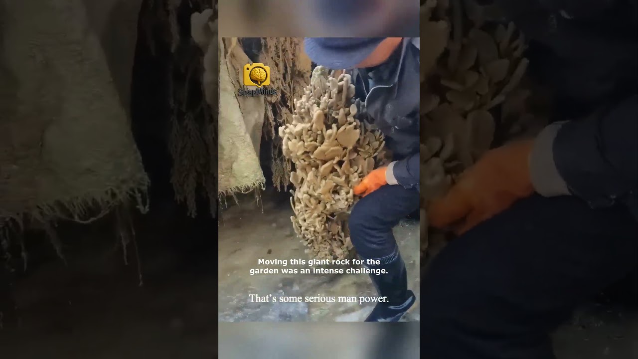 Massive Rock Moves for Epic Landscape Design 