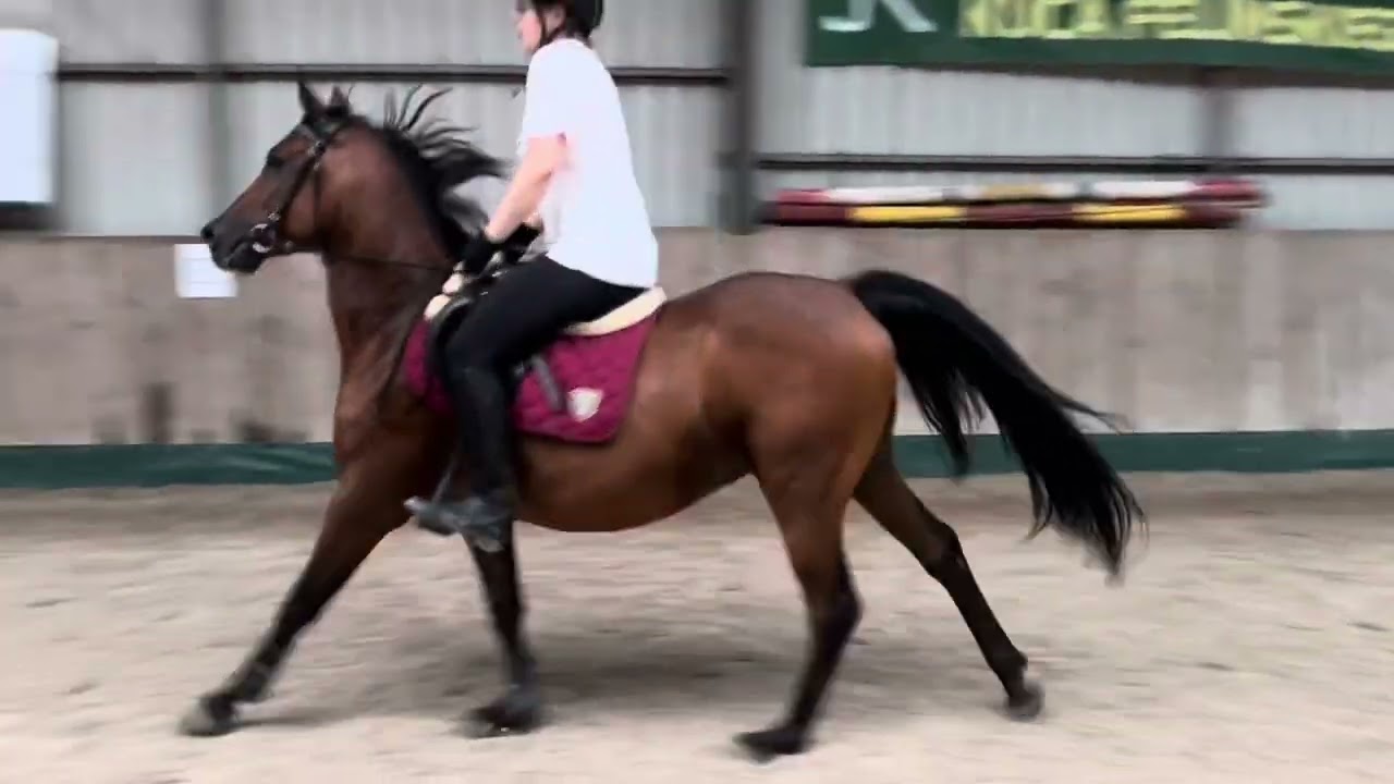 Z ŻYCIA STEFANKA ☺️