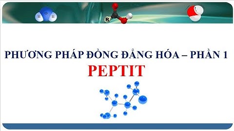 Chuyên đề phương pháp đồng đẳng hóa peptit năm 2024