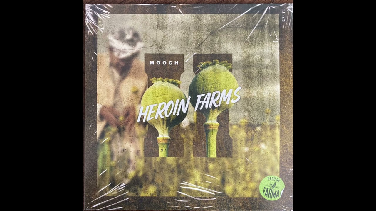 MOOCH - EVIL REMIX FT. RIGZ (AUDIO SLIDE)