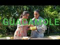 Guacamole Dish
