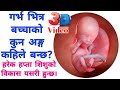       baby development mummynepal pregnancy pregnant