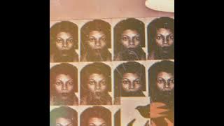 Mr. Chase-Wild Cherry