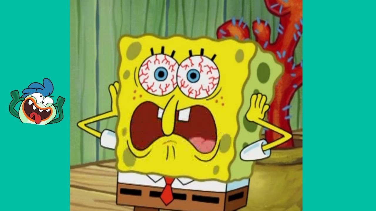 Best memes vines compilation 2017 memes life (V 11 )