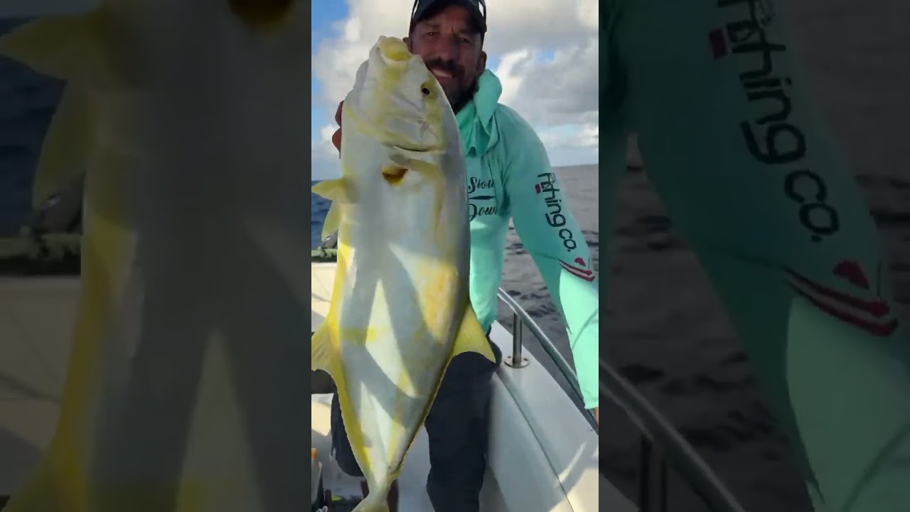 Big yellow jack