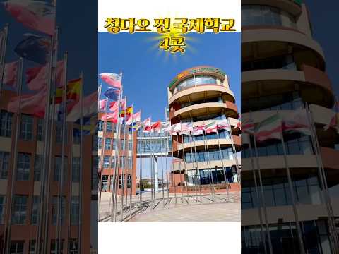 🇨🇳칭다오 외국인 국제학교 4곳 정리(위치 + IB/AP)
