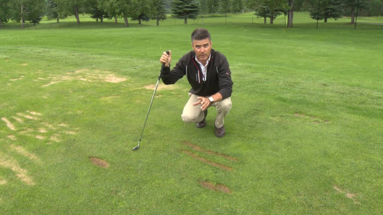 How to take proper divots on grass tees YouTube
