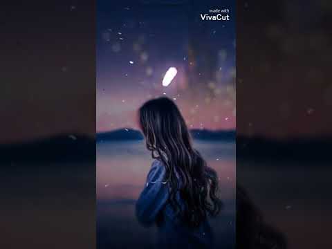 كرامتي تعز علي نفسي Misr60