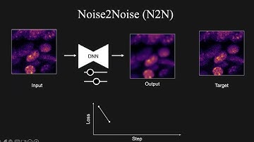 VIA Webinar: Deep learning denoising for volume microscopy