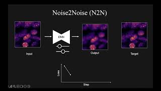 VIA Webinar: Deep learning denoising for volume microscopy