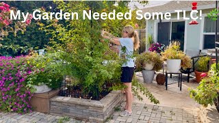 Fall Garden Cleanup & Maintenance 🌿 Climbing Rose, Petunias + Mini Front Yard Garden Tour