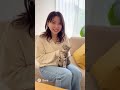 子猫とシンクロ ネコと癒し