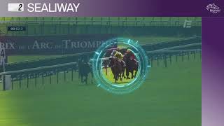 Jeff Siegel's Top Play in the Breeders' Cup Juvenile Turf on November 6th at Keeneland.