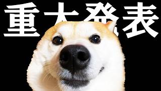 みなさまのおかげで、大変うれしいことが決定しました。
