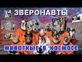 Зверонавты. Животные в космосе. Иван Самыловский и Антон Захаров.
