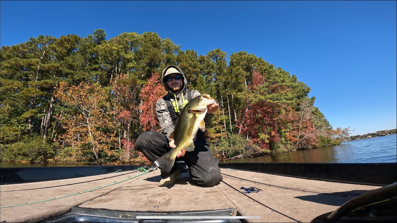 Chasing Giant Largemouth During The Fall Transition – Lake Gaston Bass Fishing