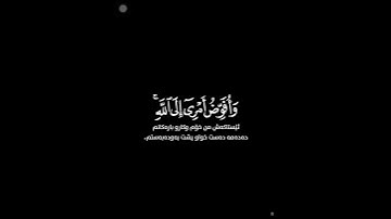 سورة غافر | سلمان العتيبي🍁